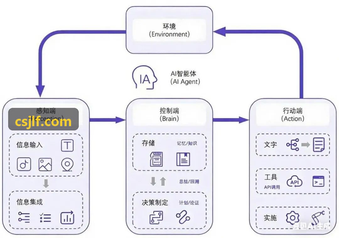 J9直营双特异性抗体设计